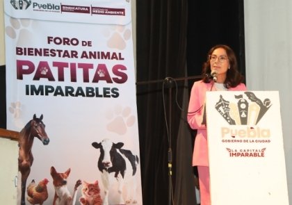Por el bienestar animal el Gobierno de la Ciudad realizó el foro participativo &quot;Patitas Imparables&quot;