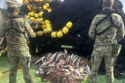 Decomisan Agricultura y Marina más de 4 mil toneladas de pesca ilegal en 6 meses
