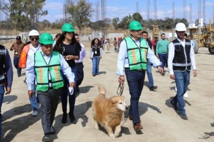 Avanza construcción de Centro de Bienestar Animal; dignificará atención de seres sintientes