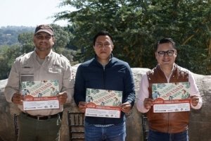 El Gobierno de la Ciudad se suma a la Campaña Verde Navidad 2024 para reciclar árboles naturales de temporada